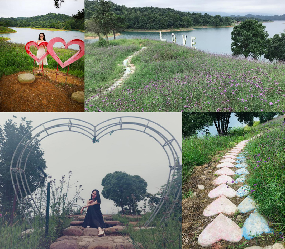 5d1f031981cd1.jpg 5.jpg